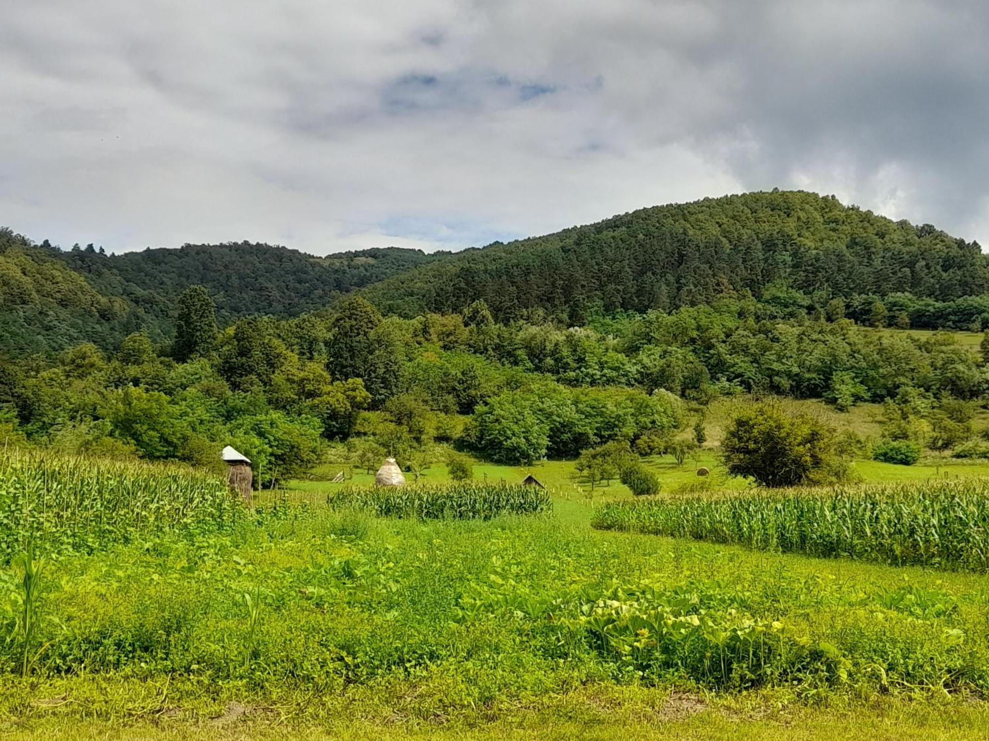 Pensiunea Sanziene Strîmtura Exterior foto