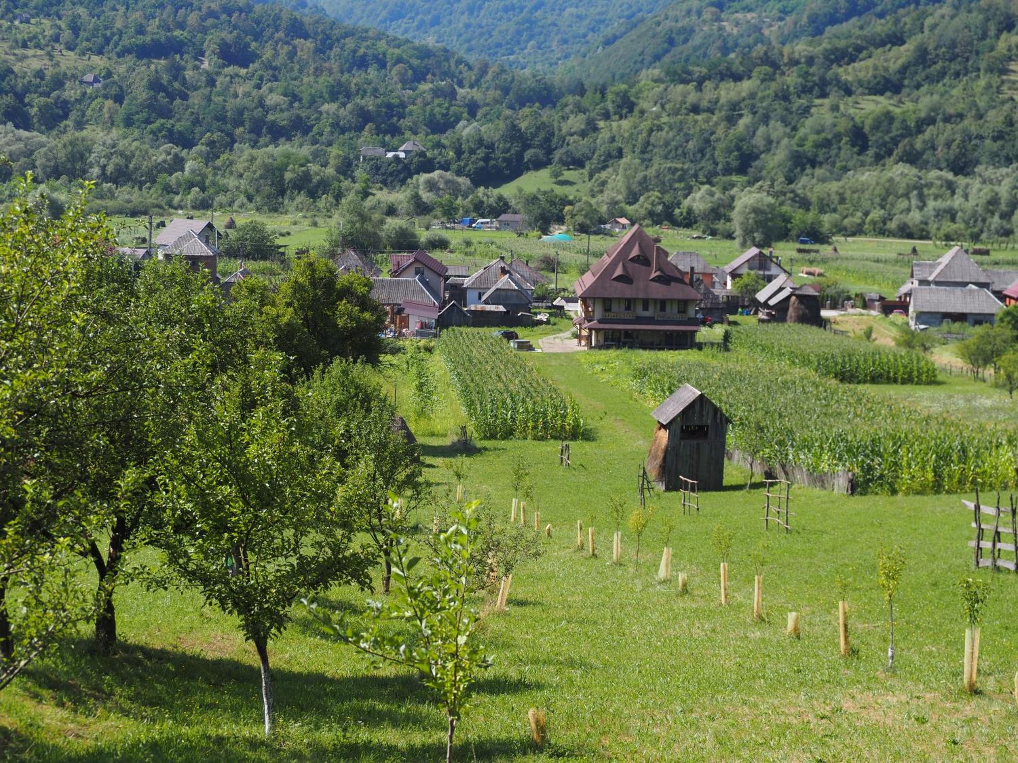 Pensiunea Sanziene Strîmtura Exterior foto
