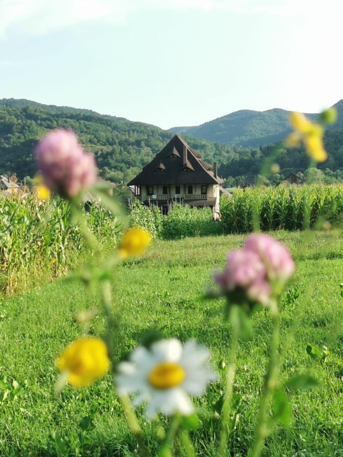 Pensiunea Sanziene Strîmtura Exterior foto