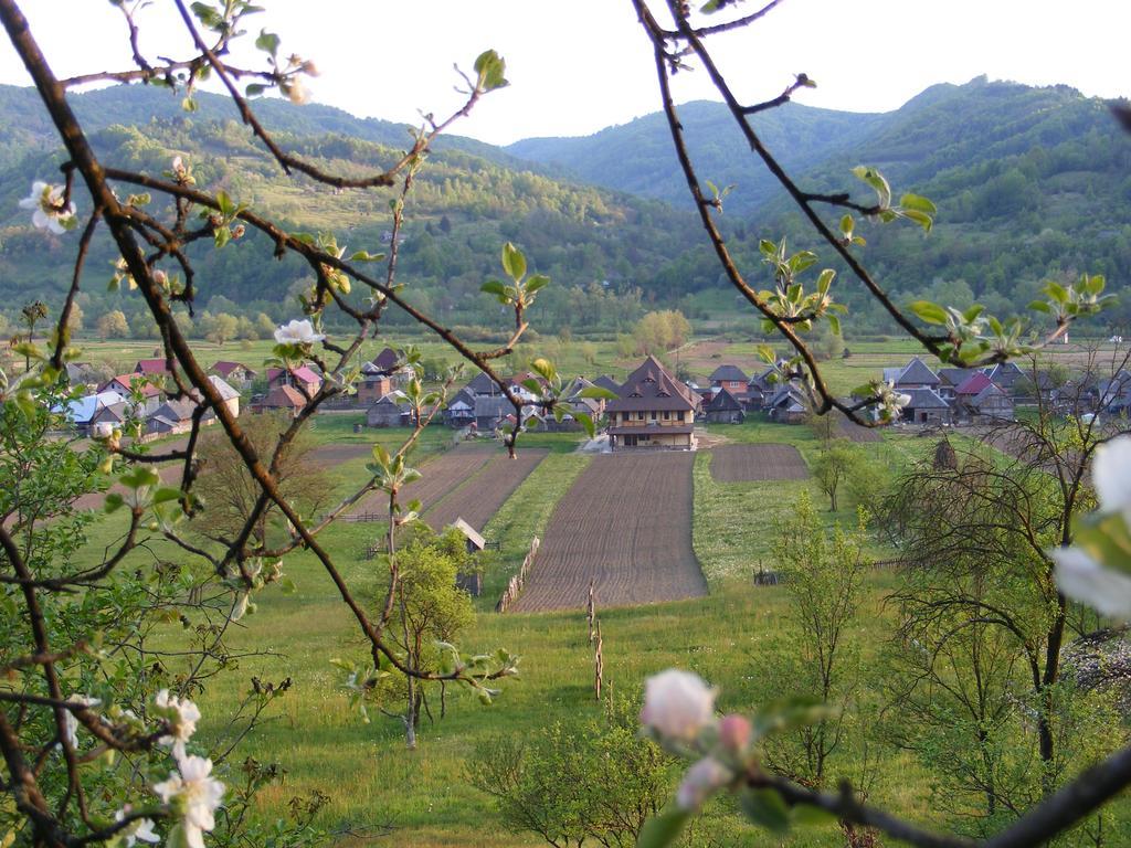 Pensiunea Sanziene Strîmtura Exterior foto